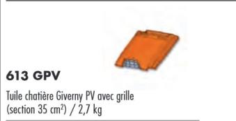 TUILE CHATIERE GIVERNY PV AVEC GRILLE VIEILLI BOURGOGNE BAVENT