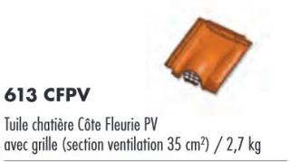 TUILE CHATIÈRE AVEC GRILLE CÔTE FLEURIE BRUN