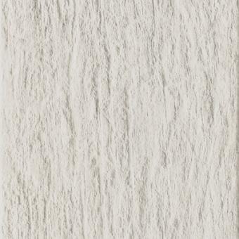 CARRELAGE BIANCO STRONG 24X120CM. RON GREENWOOD. RÉF : J86707