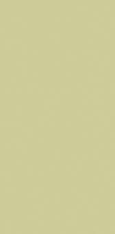 CARRELAGE PISTACHIO MATT RT 29,5X59,2CM. REV CROMATICA. RÉF : 312B213S71