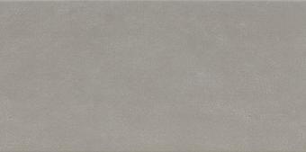 FAIENCE WALL CONCRETE RECTIFIE 30X60CM. ARG WAVE. RÉF : 300000000000013547