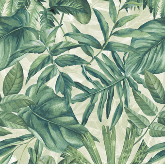 DECOR EXOTIC RECTIFIÉ 60X120CM. NOV WONDERSPACE. RÉF : WDS740K